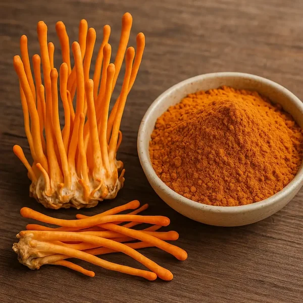 Cordyceps militaris used in BreathiZen